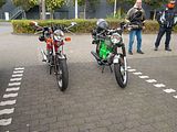 1Sammeln (12)